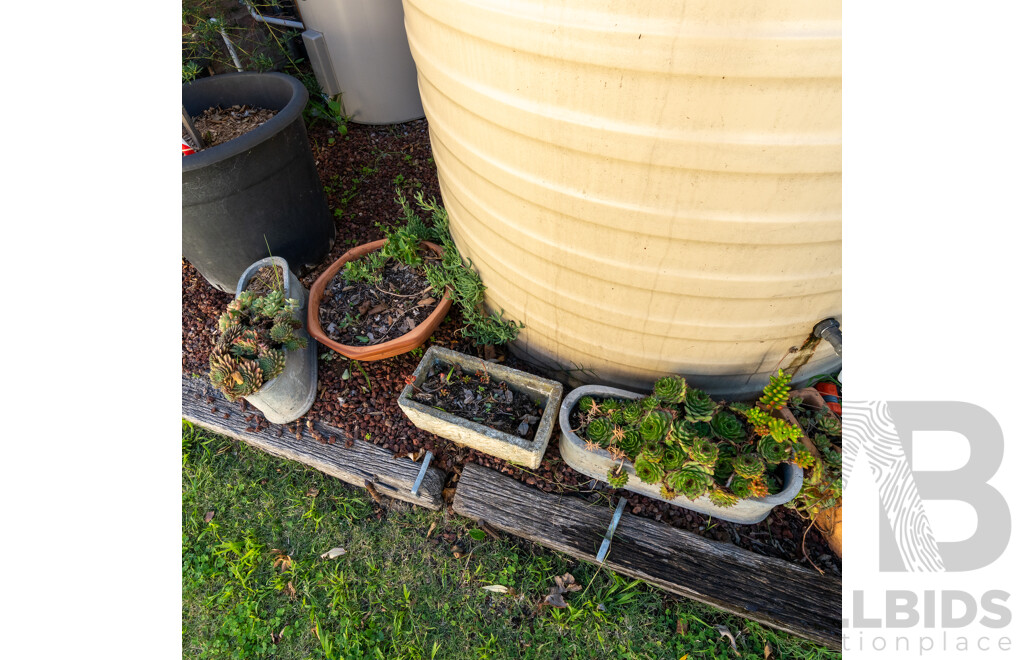 Collection of Eight Potted Succulents in Various Planters