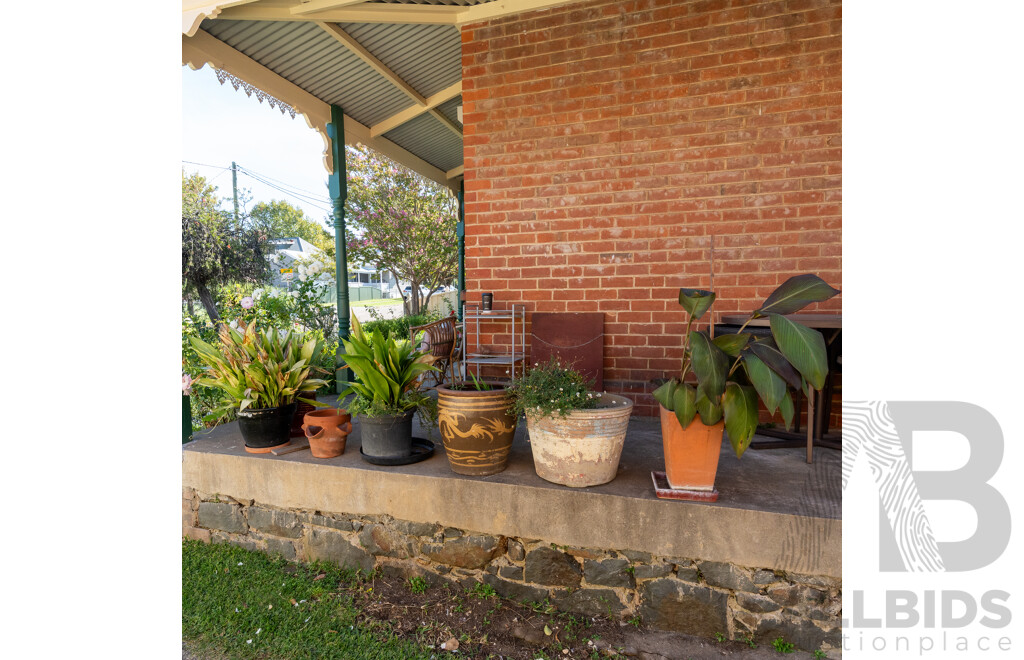 Collection of Eight Various Planters with Established Plants