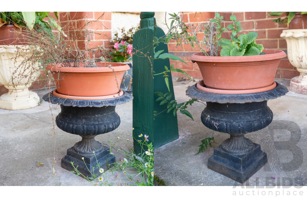 Pair of Cast Iron Victorian Planters