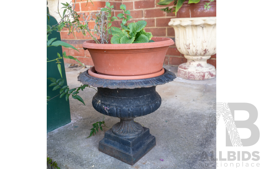 Pair of Cast Iron Victorian Planters