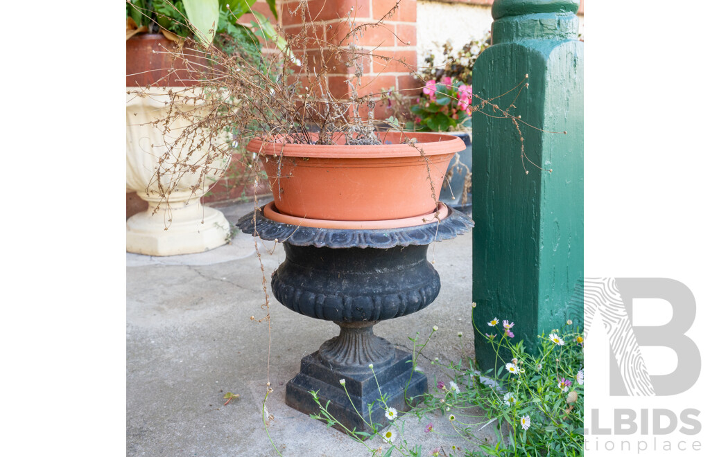 Pair of Cast Iron Victorian Planters