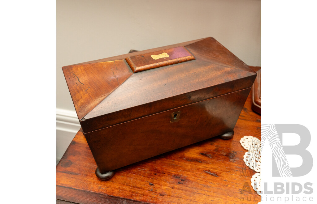Georgian Rosewood Sarcophagus Tea Caddy