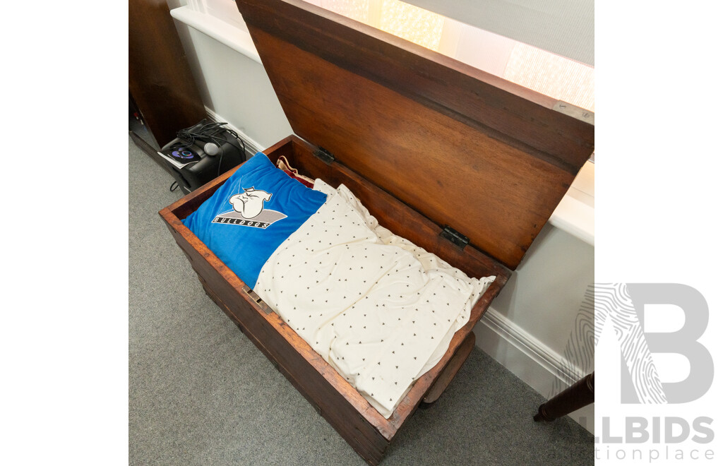 Large Rustic Camphor Wood Trunk