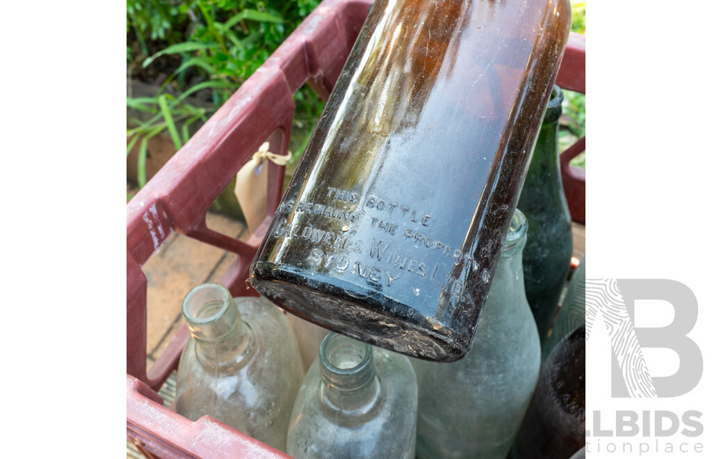 Collection of Vintage Bottles Including J McCarty and Co