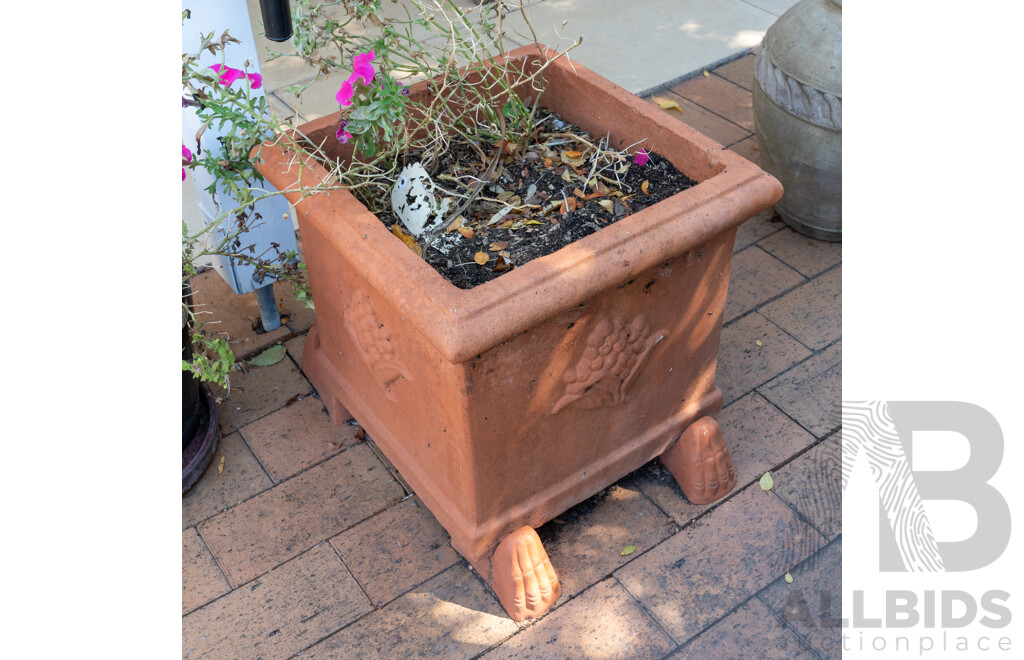 Pair of Square Line Terracotta Planters with Plants