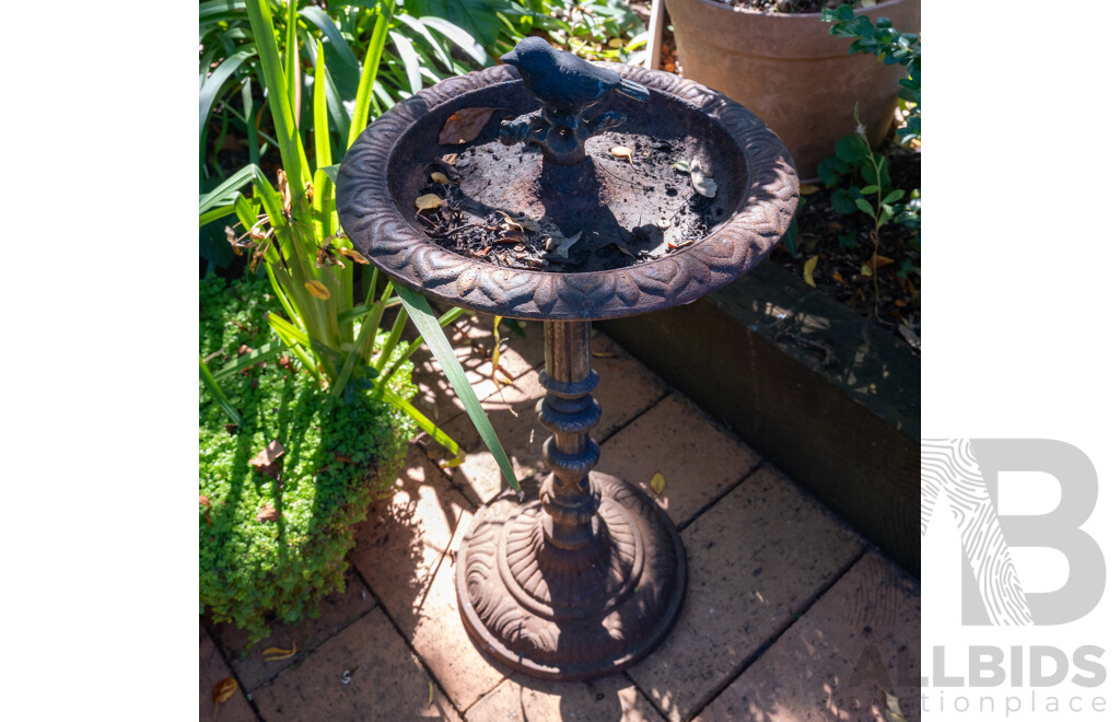 Small Cast Iron Bird Bath