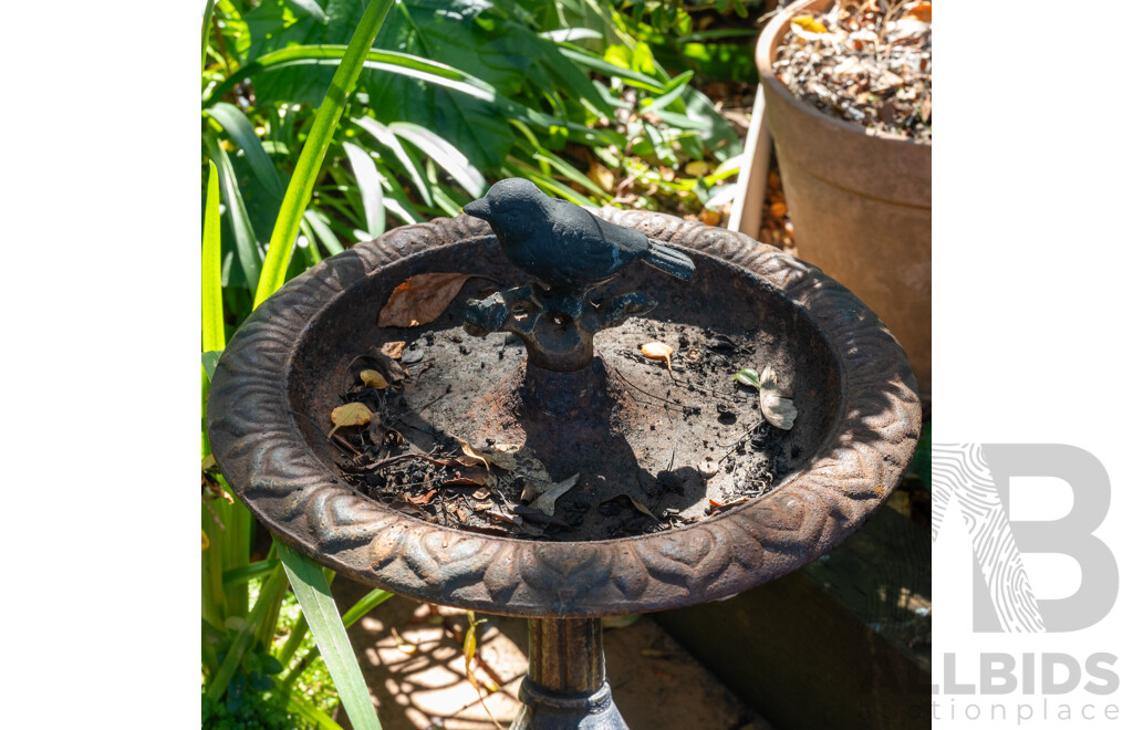 Small Cast Iron Bird Bath