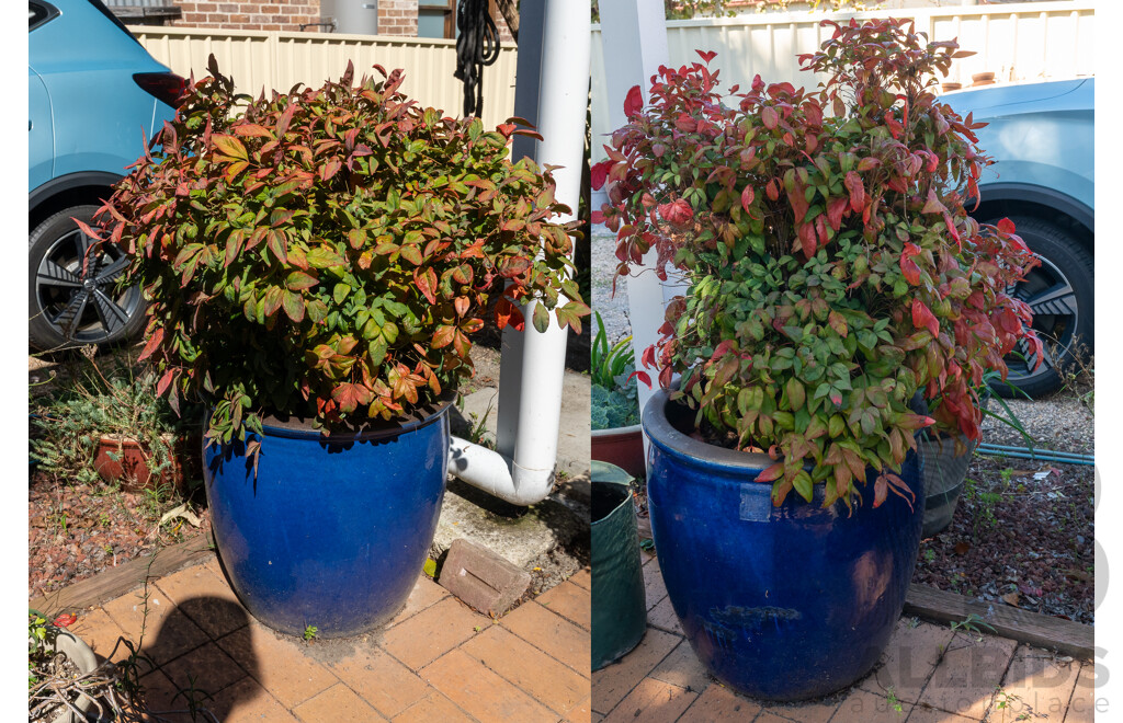 Pair of Large Blue Glaze Barrel Form Planters