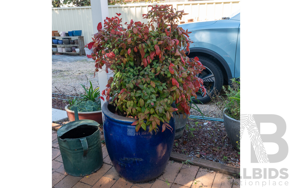 Pair of Large Blue Glaze Barrel Form Planters