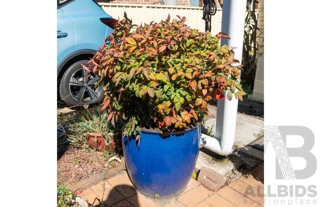 Pair of Large Blue Glaze Barrel Form Planters