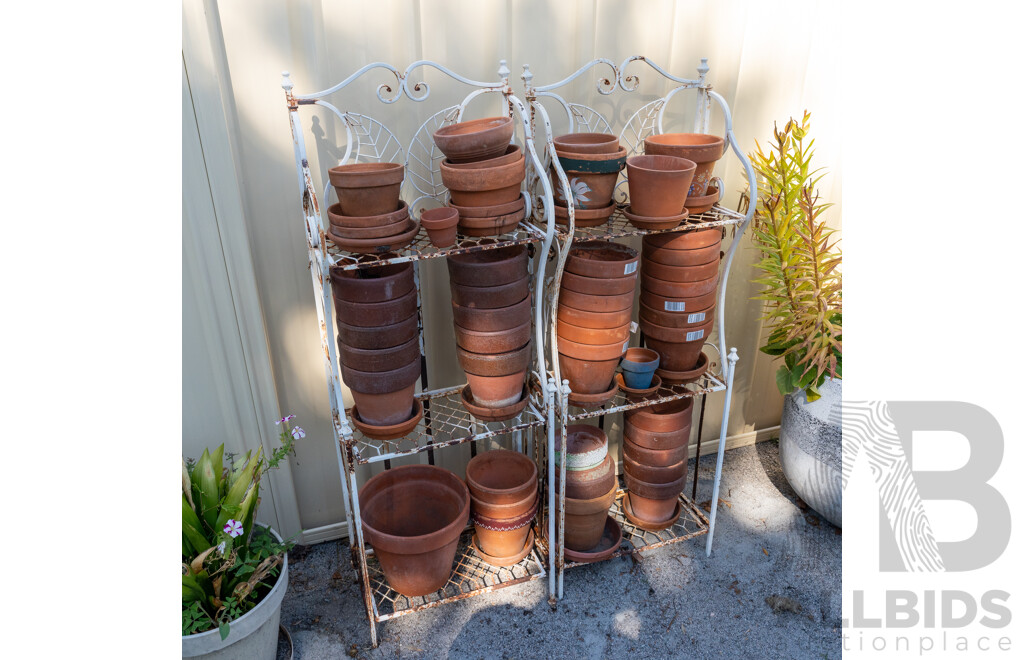 Large Collection of Various Sized Terracotta Planters on Two Metal Stands