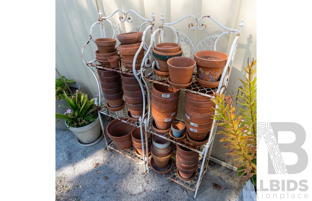 Large Collection of Various Sized Terracotta Planters on Two Metal Stands