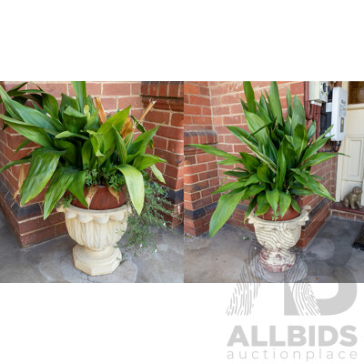 Pair of Cast Concrete Garden Planters with Plants
