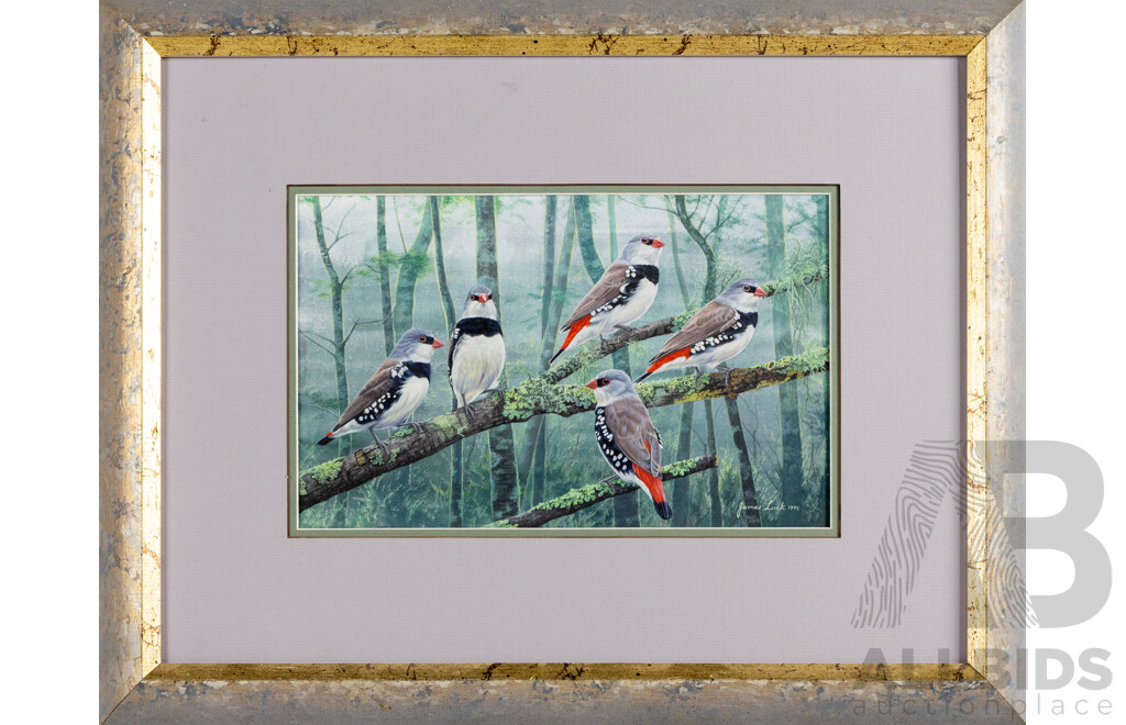 James Luck, (20th Century, Australian, c1960s-), Diamond Firetail Finches (1995), Wonderful Original Watercolour, 45 x 57 cm (frame)