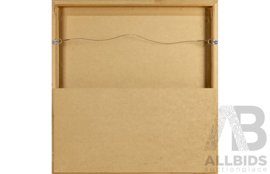 Framed Sydney 2000 Olympic Torch Pin Collection and Relay Shirt