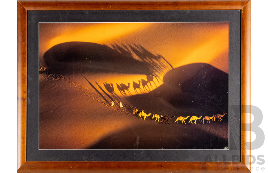 Yann Arthus-Bertrand (20th Century, French, 1946-), Dromedary Caravans Near Nouakchott - Mauritania [Earth From Above], Vintage Colour Poster Print From Original Photograph, 73H x 99W cm (frame)