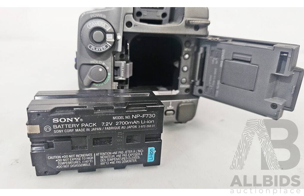 Sony (DCR-VX1000E) Digital Handycam