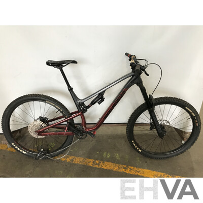 Rocky Mountain 12 Speed Mountain Bike