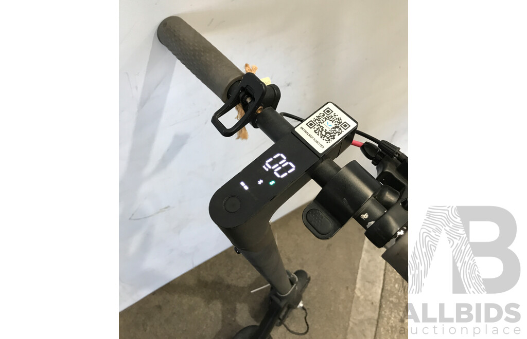 Skywalker Electric Scooter Pro