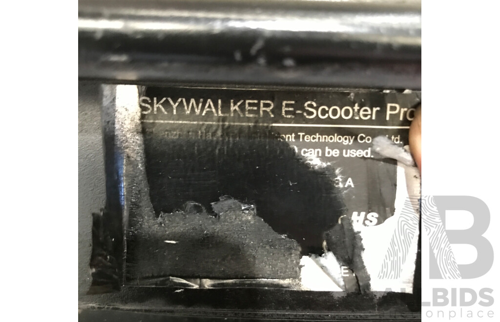 Skywalker Electric Scooter Pro