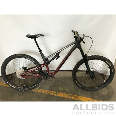 Rocky Mountain 12 Speed Mountain Bike