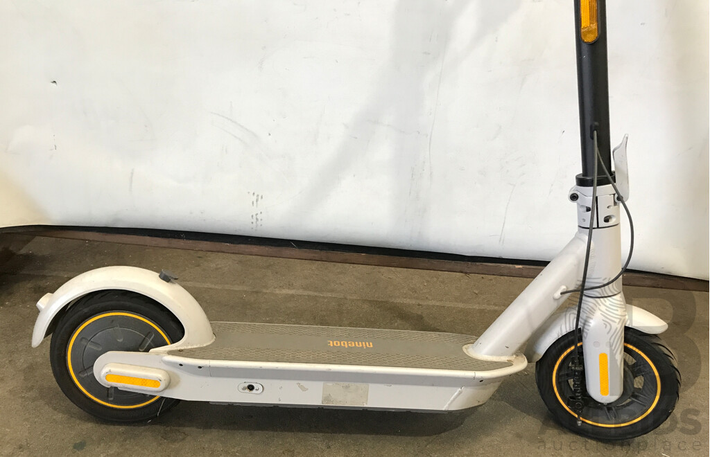 Segway Ninebot Gray Electric Scooter