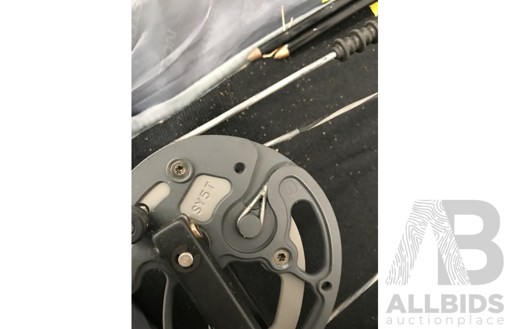 Easton Compound Bow with Arrows and Bag