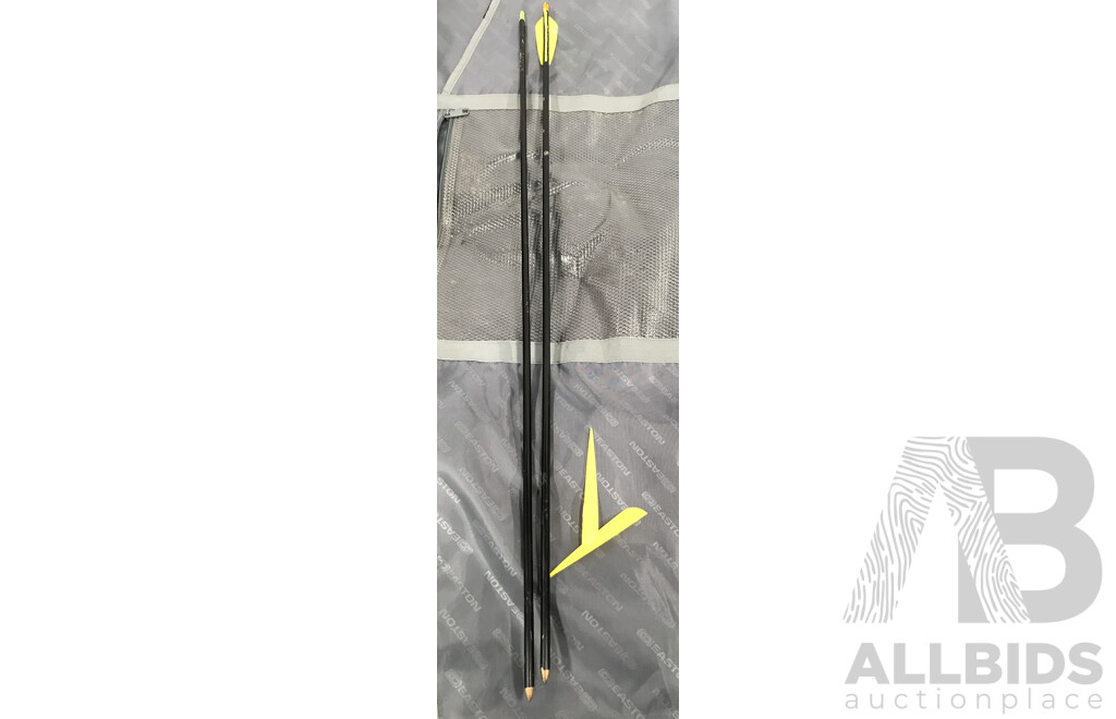 Easton Compound Bow with Arrows and Bag