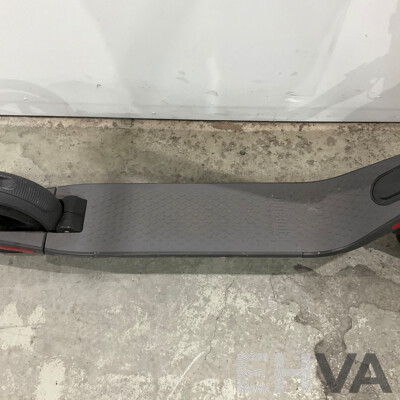 Ninebot Kick Scooter