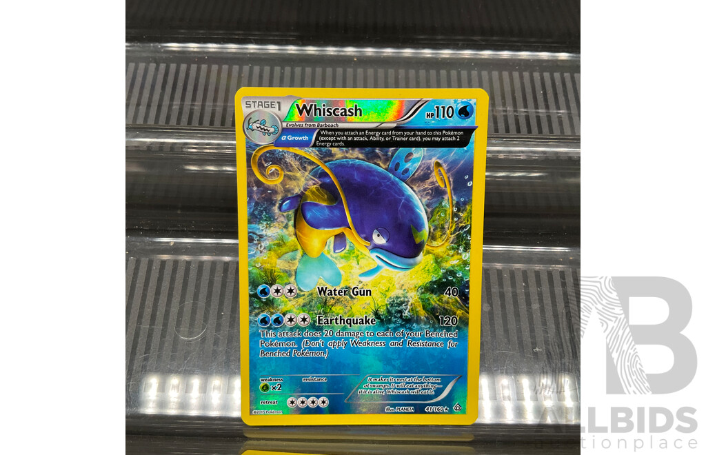 1995-2016 Vintage Pokemon Trading Cards (JP & EN)