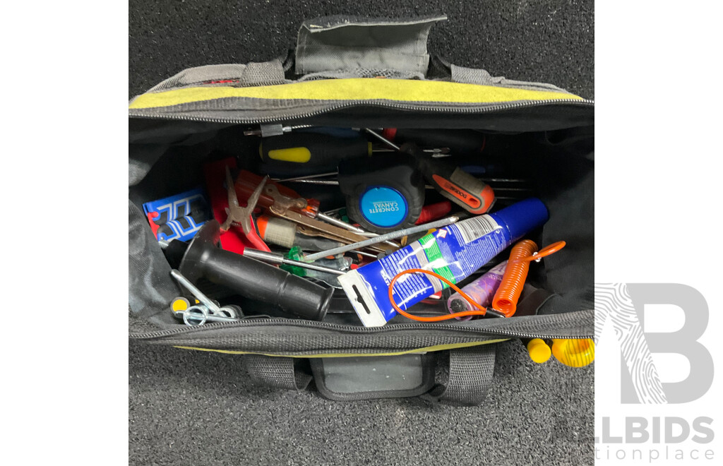 Assorted Hand Tools in Ryobi Carry Bag