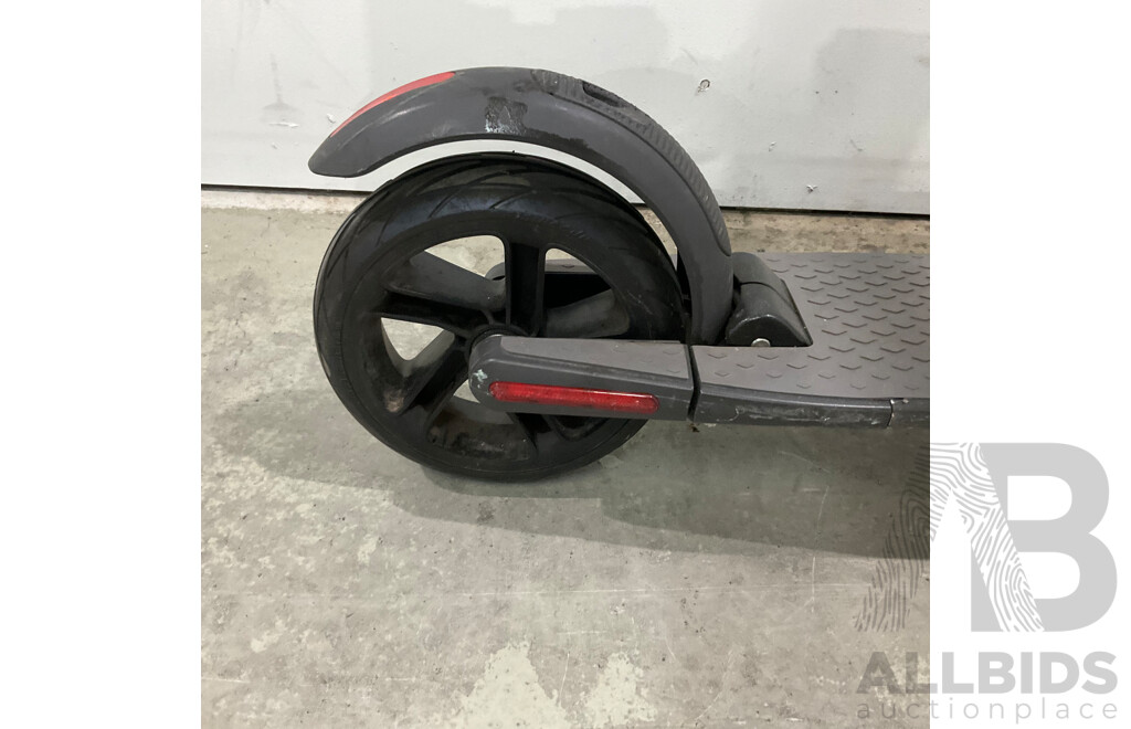 Ninebot Kick Scooter