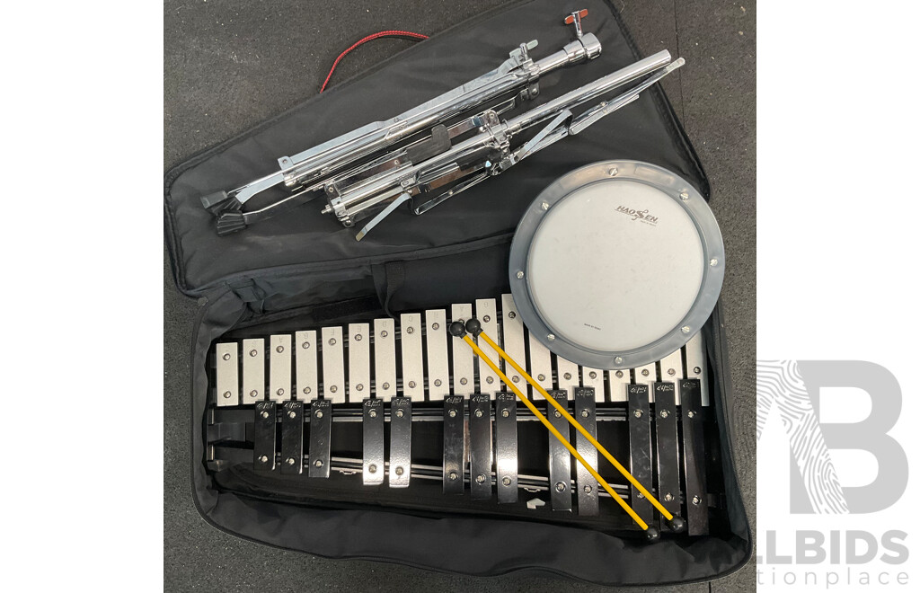 HAOSEN Percussion Xylophone Kit with Carry Case and Stand