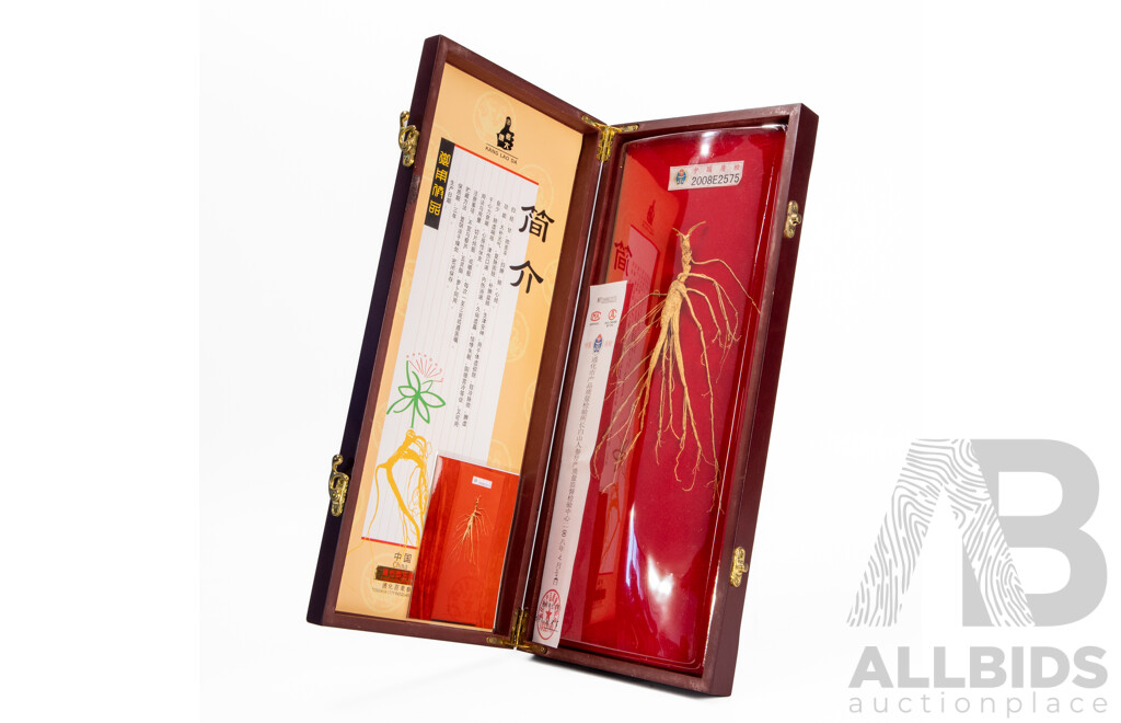 Original Specimen of Wild Mountain Ginseng with Government Verification Documents in Presentation Wooden Box, 45L x 19W cm (box dimensions)