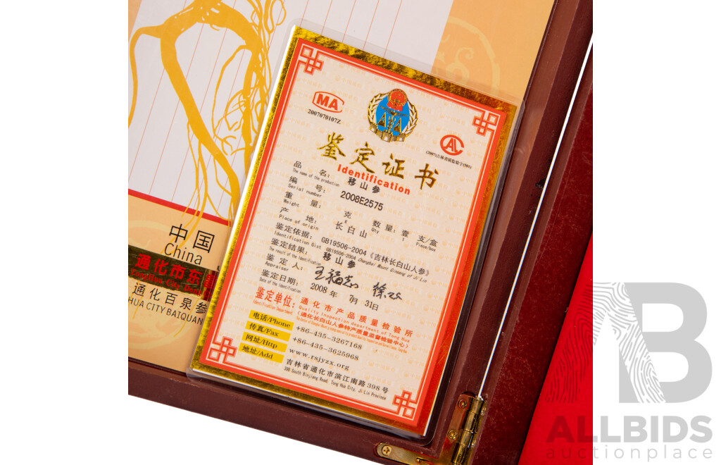Original Specimen of Wild Mountain Ginseng with Government Verification Documents in Presentation Wooden Box, 45L x 19W cm (box dimensions)