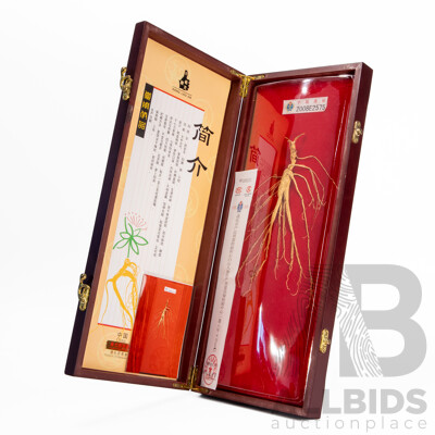 Original Specimen of Wild Mountain Ginseng with Government Verification Documents in Presentation Wooden Box, 45L x 19W cm (box dimensions)
