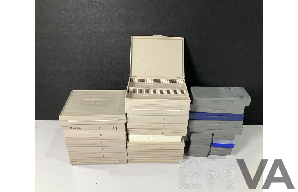 Large Collection of Microscope Slide Containers