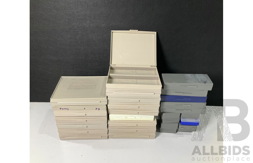 Large Collection of Microscope Slide Containers
