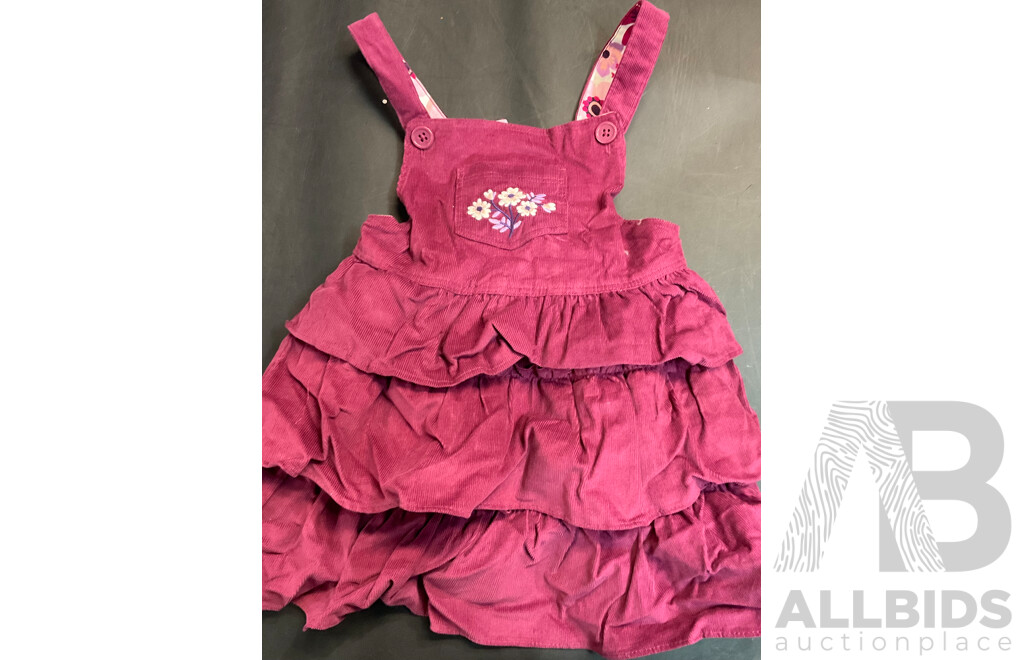 Petite Etoile Size 3 Tutu Dress with Assorted Anko Size 2 Girls Clothes & Suction Plate & Sippy Cup