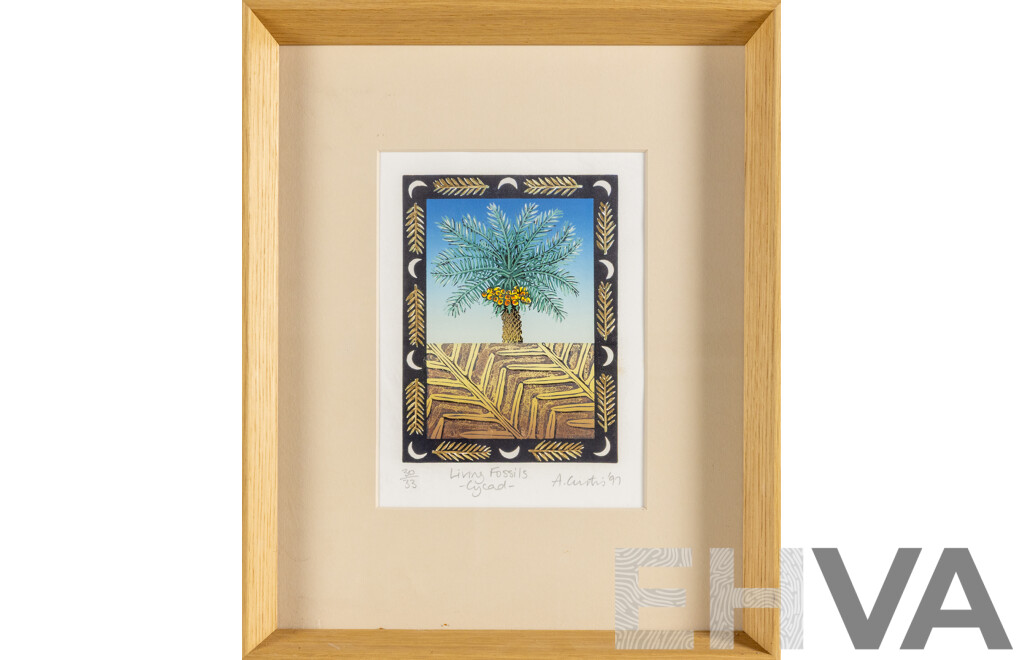 A. Curtis, (20th Century), Living Fossils - Cycad (1997), Original Signed & Editioned Hand Coloured Lithograph, 41 x 33 cm (frame)