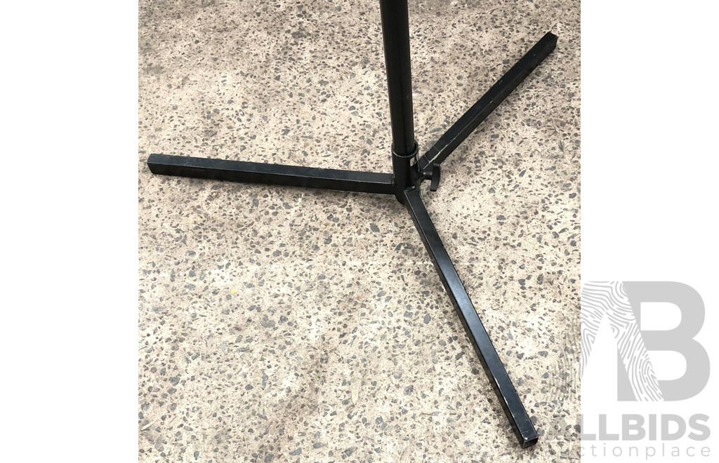 Advanced Lighting Equipment 3 Meter Light Stand