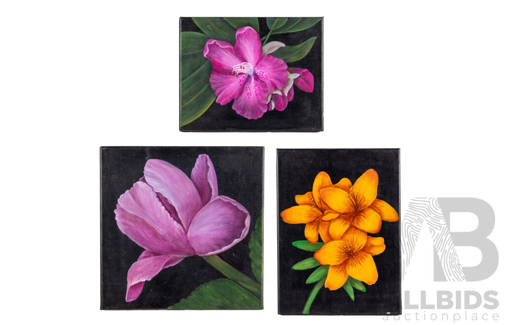 Jill O'Brien, (20th Century, Australian), Tropical Flower Trio, Lovely Trio of Original Oil on Canvases, Varied Sizes, 30 x 30 cm (largest) (3)