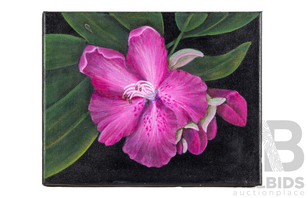 Jill O'Brien, (20th Century, Australian), Tropical Flower Trio, Lovely Trio of Original Oil on Canvases, Varied Sizes, 30 x 30 cm (largest) (3)