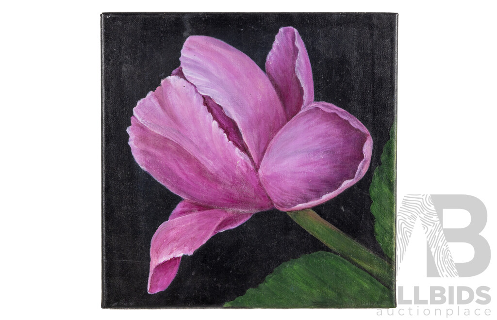 Jill O'Brien, (20th Century, Australian), Tropical Flower Trio, Lovely Trio of Original Oil on Canvases, Varied Sizes, 30 x 30 cm (largest) (3)