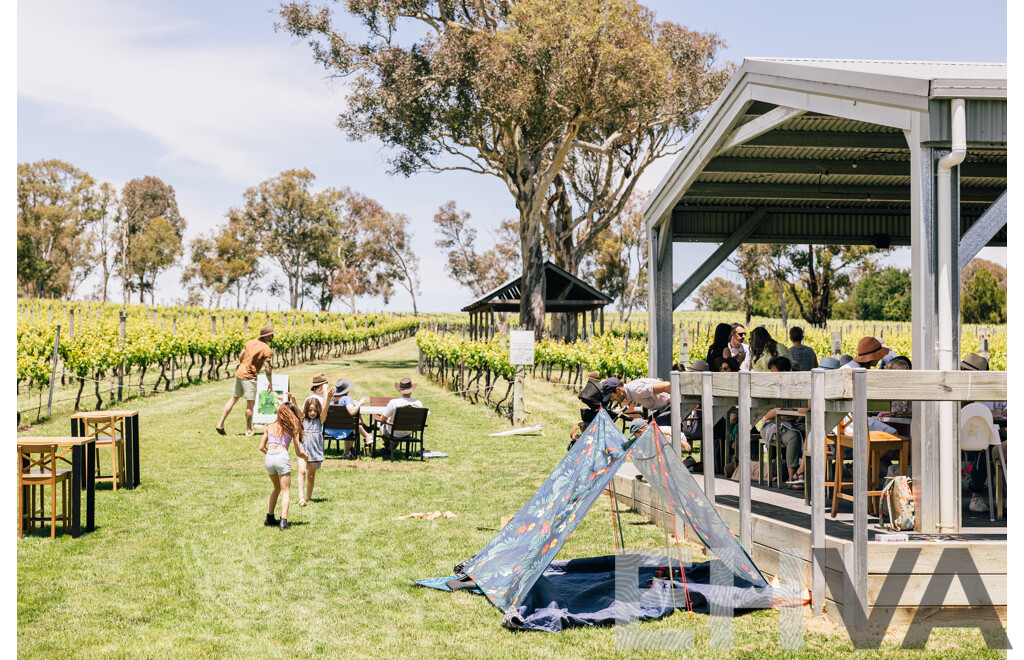 Mixed Six Bottle Wine Pack — Four Winds Vineyard