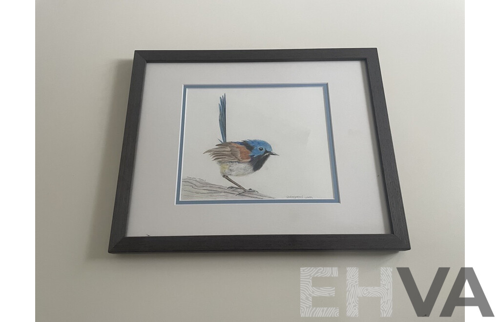 Original Framed Pencil Drawing