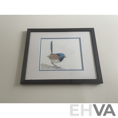 Original Framed Pencil Drawing