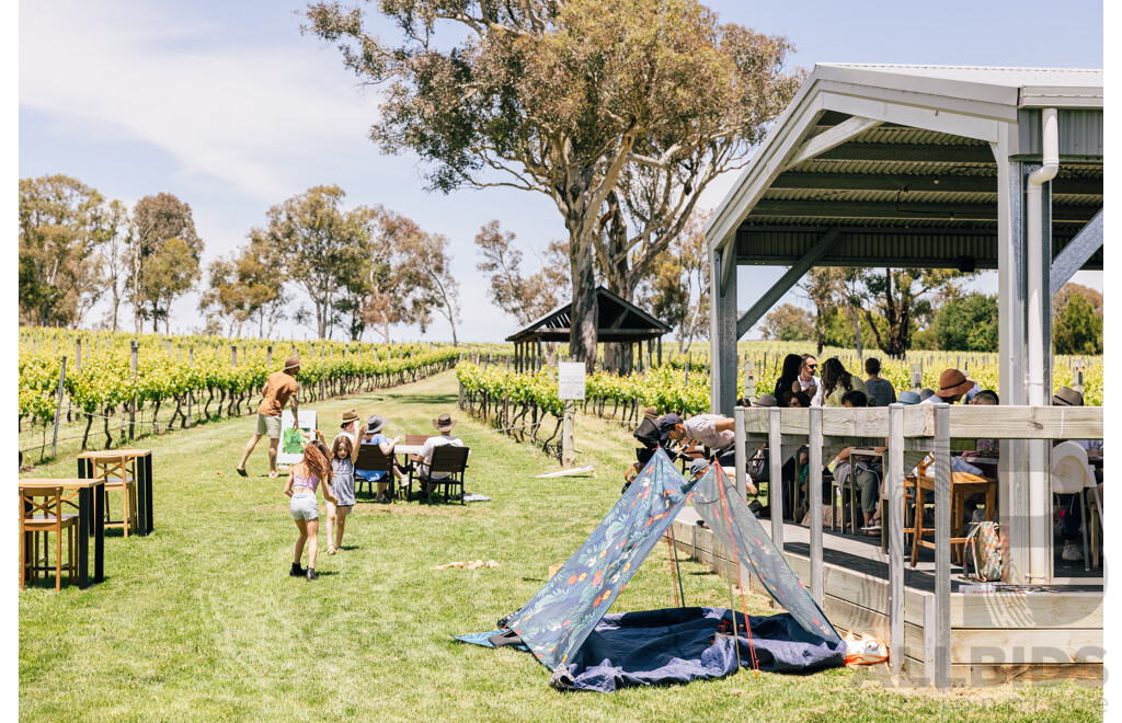 Mixed Six Bottle Wine Pack — Four Winds Vineyard
