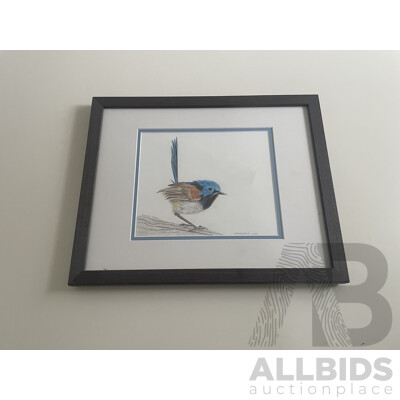 Original Framed Pencil Drawing