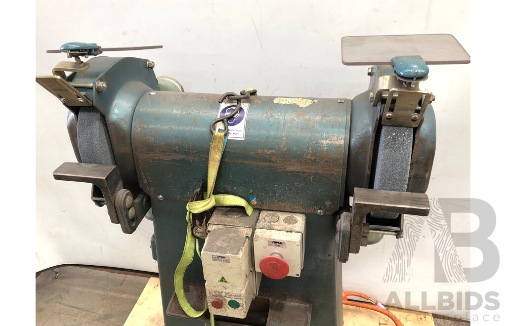 Waldown 300mm Commercial Pedestal Grinder